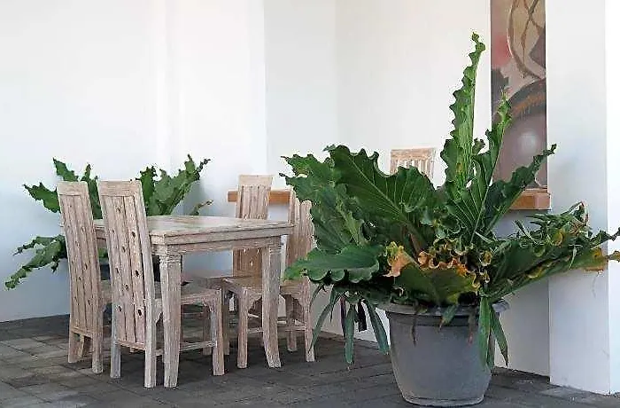 Sau Bali House 酒店 坎古